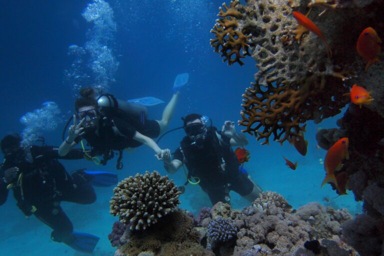 Is Scuba Diving Worth It in Goa?